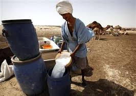 Camel milk is currently trending as a healthier alternative to cow milk. Camel Milk Put It On Your Face As Well As Drink It
