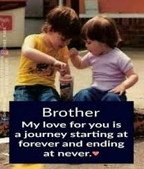 Happy Birthday Quotes For Brother From Sister Pin By Taylor Bartley On Happy Birthday Meme Siblings Funny Quotes Brother Quotes Brother Sister Quotes Funny