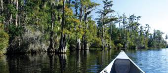 A state in the deep south and south central regions of the united states. Louisianas Sehenswurdigkeiten Gerne Exzentrisch Visit The Usa