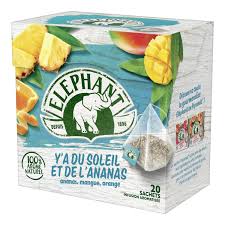 Infusion Ananas Mangue Orange Elephant La Boite De 20 Sachets 34g A Prix Carrefour Mangue Ananas Ecorce D Orange