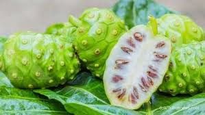 Konsumsi makanan tinggi serat juga sebagai cara cepat menurunkan kolesterol alami, terutama kadar kolesterol jahat (ldl) dalam darah. Jus Buah Dan Sayur Yang Bisa Menurunkan Tekanan Darah Tinggi Bahannya Mudah Didapat