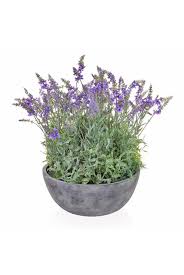 10 stem faux silk lavender bunches, uk seller. Artificial Lavender In Bowl 38cm