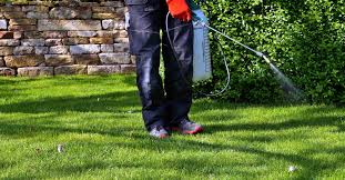 One household product that can be used on the lawn is mouthwash. 10 Benefits Of Having A Synthetic Lawn In Houston Texas