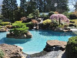 Garden With Pool Home Design Elements Swimming Pools Backyard Pool Landscaping Garden Pool