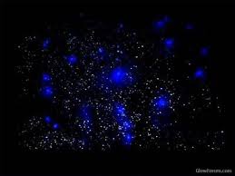 How To Paint Stars On The Walls Of A Boy S Room Homesteady Boy S Room Boy Room Glow Paint