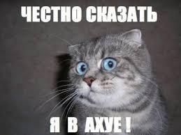 ЦВК знову визнала "слугу народу" Вірастюка переможцем на довиборах у Раду на Прикарпатті, - ОПОРА - Цензор.НЕТ 2854