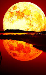 And when the great ones descend. Blood Moon 950x1534 Download Hd Wallpaper Wallpapertip