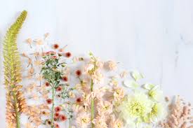 231,000+ vectors, stock photos & psd files. Aesthetic Floral Desktop Wallpapers Wallpaper Cave
