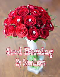 Good Morning Romantic Rose Flower Photos In 2020 Good Morning Romantic Rose Flower Photos Rose Flower
