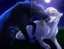 31 Wolf Couples Ideas Fantasy Wolf Anime Wolf Wolf Drawing Share the best gifs now >>>. fantasy wolf anime wolf wolf drawing