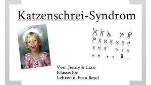 A syndrome is a set of medical signs and symptoms which are correlated with each other and often associated with a particular disease or disorder. Katzenschrei Syndrom By Jenny Nilius