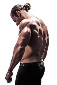 It is therefore advisable to build muscle because they are essential this bodybuilding exercise solicits the back muscles at the level of the width. 18 Laws Of Back Training