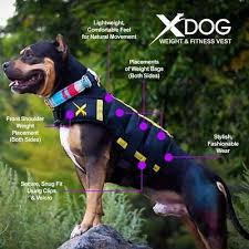 xdog weight fitness vest for dogs