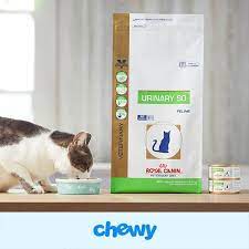 Royal Canin Veterinary Diet Urinary So Dry Cat Food 17 6 Lb Bag Chewy Com Dry Cat Food Royal Canin Veterinary