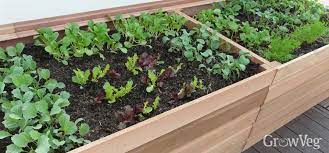 Getting started building a raised bed. How To Build Raised Beds For Your Vegetable Garden