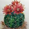 How to draw a cactus very simple. 1