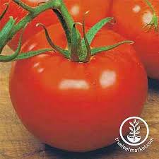 We did not find results for: 21 Of The Best Heirloom Tomato Varieties Gardener S Path
