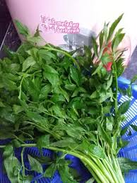 Bila sebut saja kerabu, pasti ada yang kecur bila mendengarnya. 12 Jenis Ulam Dan Khasiatnya Terhadap Kesihatan Saji My
