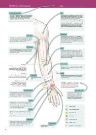 42 Logical Acupressure Points Chart Free Download