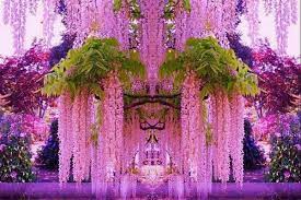 13 Of The Most Beautifully Designed Flower Gardens In The World Most Beautiful Flowers Beautiful Flowers Flower Garden