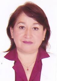 Directorio de Recursos Humanos afines a la CTI