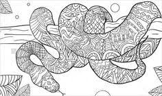 Lizard mandala coloring page from animal mandalas category. Snakes And Reptiles Coloring Pages