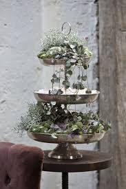 Ceropegia Woodii Sempervivum Calocephalus 01 Jpg 2304 3456 Container Flowers Winter Plants Indoor Garden