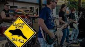 Brackish Water Beavers