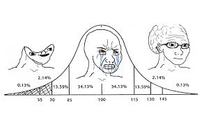 You've probably seen these floating around everywhere on the internet. Big Brain Wojak Meme Template Novocom Top