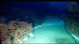 Pin On Our Strange Oceans