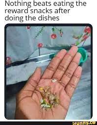 Nothing Beats Eating The Reward Snacks After Doing The Dishes