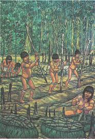 1PRO 16 Tripa Ok.qxp