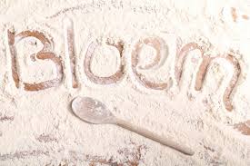 Understanding Flour Types Weekend Bakery