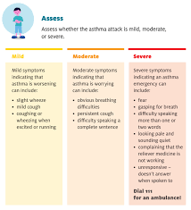 Image result for Mild Persistent Asthma