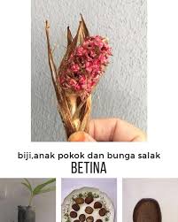 We did not find results for: Mari Mengenali Biji Pejabat Pertanian Daerah Pontian Facebook