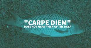 49 Of The Best Fishing Quotes Of All Time