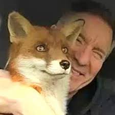 Les Hemstock (@LesHemstock)