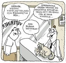 Merhaba Kedimi Kisirlastirilmasi Icin Birakmistim Ben Operasyona Gerek Kalmadi Biz Kendisiyle Konustuk Yemin Etti Sevismeyecek Bi Karikatur Komik Kedi