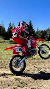 Image result for Gris Amatista 1993 Motorcycle