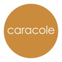 In dressage, riders execute a caracole as a single half turn, either to the left or to the right, representative of the massed cavalry tactic of caracole previously used in the military. Caracole Home Linkedin