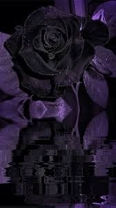 pin by عبدالله ذيب on all about roses gothic flowers rose art animated gif art