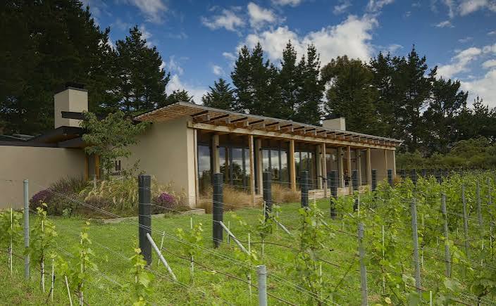 Tussock Hill Vineyard