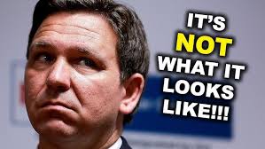 The Conversation: Meredith Cash and Sunsara Taylor