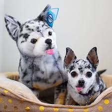 Learn more about pets for vets® at www.petsforvets.com. Chihuahua Stuffed Animals Turn Your Pet Into Custom Plush