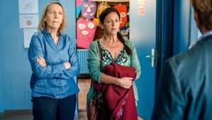 De luizenmoeder wordt definitief een speelfilm. De Luizenmoeder Tv Series 2019 2020 Imdb