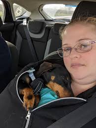 Miniature dachshund nutrition and joint health concerns