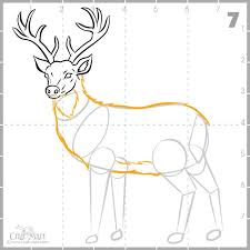 The head construction lines follow, a circle should be placed asymmetrically on the top right side of. Drawing A Deer In 10 Steps Easy Tutorial Craft Mart