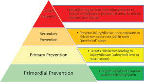 Primary, secondary and tertiary sectors. 5 Applying Public Health Models And Approaches To Countering Violent Extremism Countering Violent Extremism Through Public Health Practice Proceedings Of A Workshop The National Academies Press