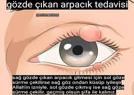 Alba Sifasi Adli Kullanicinin Alba Sifasi Panosundaki Pin Saglik
