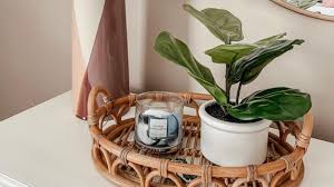 Outdoor artificial plants are weatherproof and uv treated, they require no water and no sun, the perfect solution for today's climate. Artificial Plants And Flowers For Home Decor Cnn Underscored
